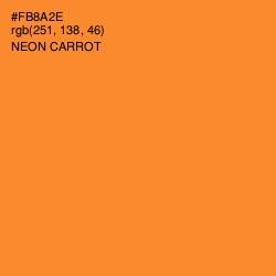 #FB8A2E - Neon Carrot Color Image
